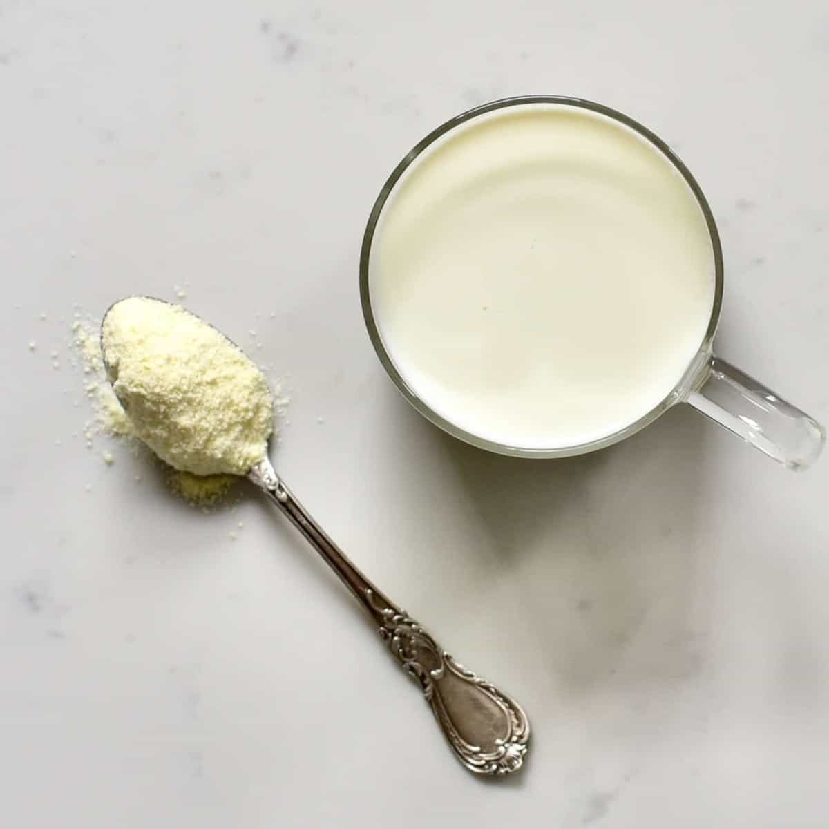 how to make powdered milk at home - Article 2